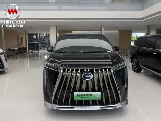 GAC Trumpchi E9 Energy Electrification 2.0t Hot Selling Flagship MPV