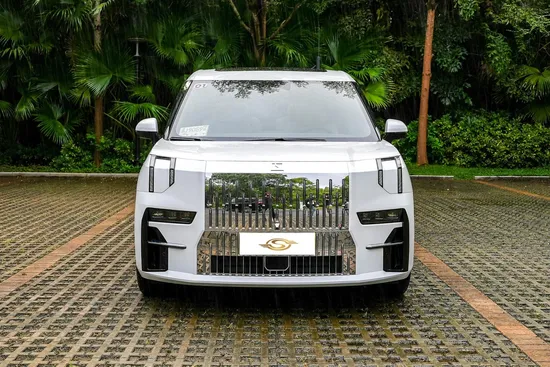Affordable Used 119kwh Electric Vehicle for Sustainable Living 