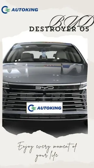 Byd Destroyer 05 2024 Edition Dm